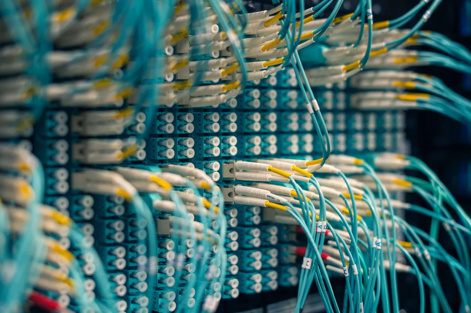 Network cables showing scattered digital brand signals across many sources