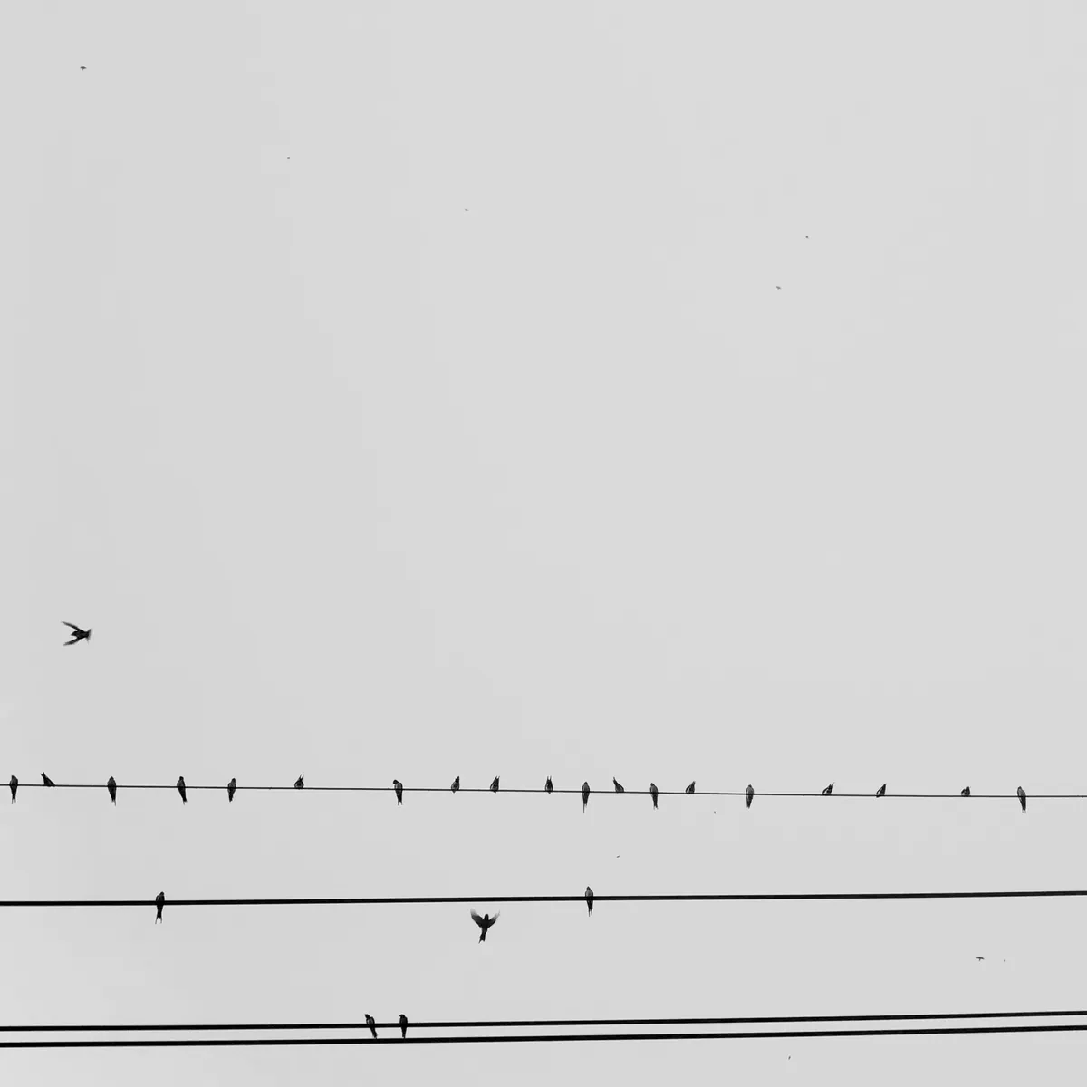 Graph of increased AI citations